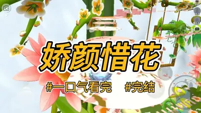 莫要怜朕是娇花