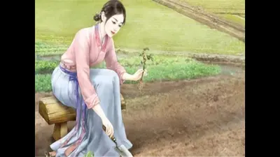 穿越年代农家女