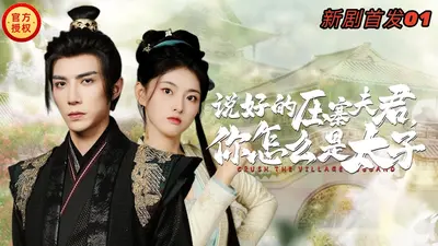 一统天下之压寨姑爷