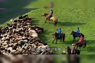 背靠将军好乘凉