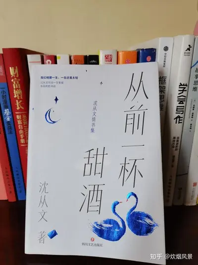 林先生家的小甜酒