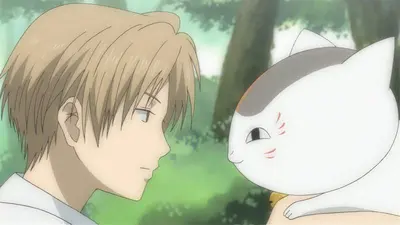 夏目的喵口先生