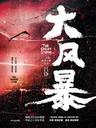 暴雨帝国之风暴夜