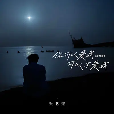 如果可以不爱你