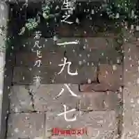 陆欣雅