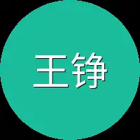 王铮有点