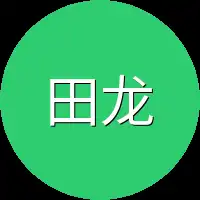 田龙